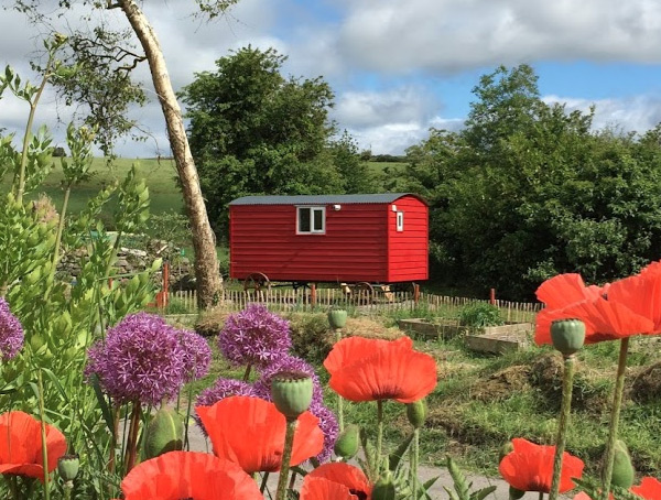 Ballyroe Glamping, West Cork