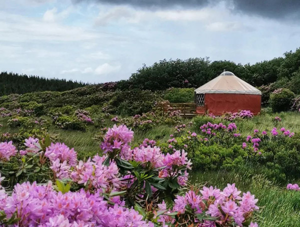 Lough Mardal Lodge, Glamping in County Donegal