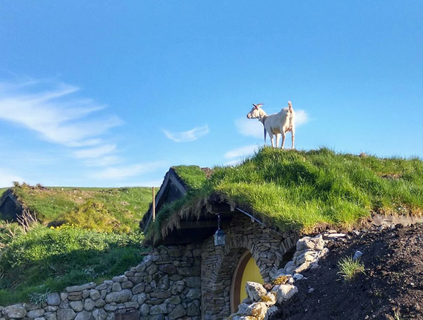 Mayo Glamping, Castlebar, County Mayo