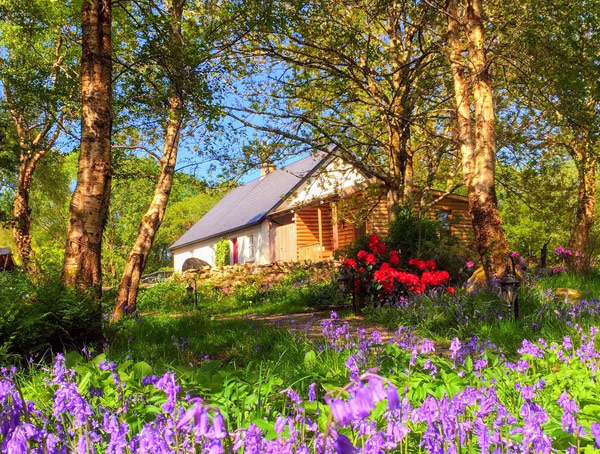 Teapot Lane Glamping - Bluebell Cottage