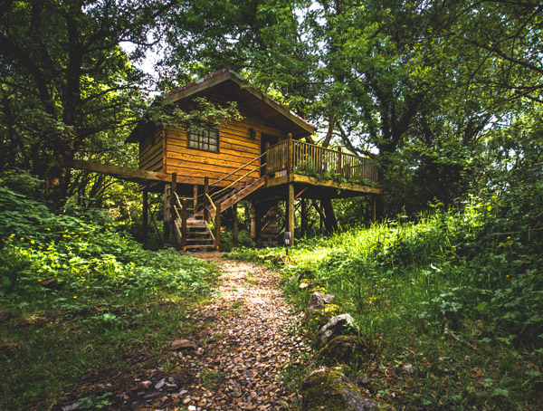 Teapot Lane Glamping - Treehouse