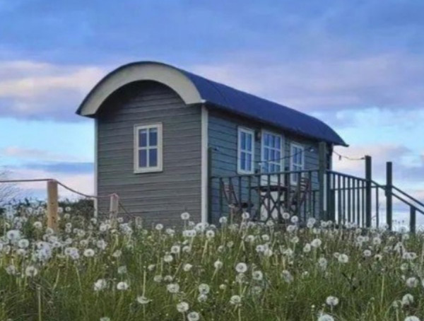 Wild Meadow Shepherds Hut - Glamping in Clare